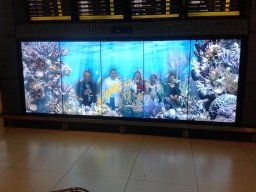 ศึกษาาดูงานอินโดนีเซีย